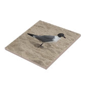Carreau Mouette sur la plage dans le sable (Côté)