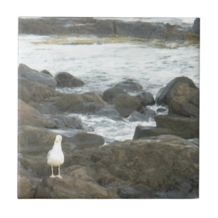 Carreau Mouette sur rochers