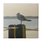 Carreau Mouette sur un courrier (Devant)