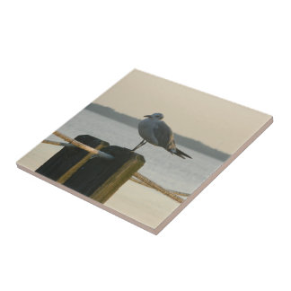 Carreau Mouette sur un courrier