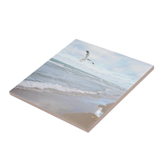 Carreau Mouettes à la plage (Côté)