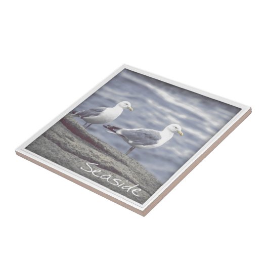 Carreau Mouettes de mer (Côté)