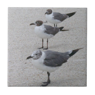 Carreau Mouettes sur la plage