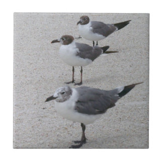 Carreau Mouettes sur la plage