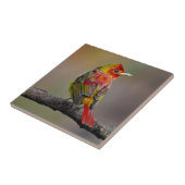 Carreau Moulage de Tangère - Photo originale (Côté)