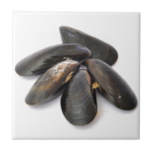 Carreau Moule