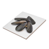 Carreau Moule (Côté)