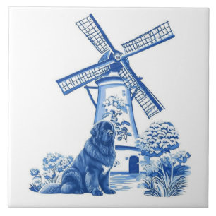 Carreau Moulin Hollandais Terre-Neuve