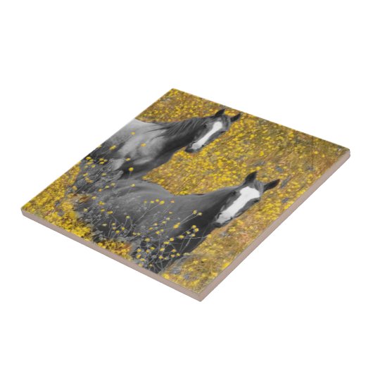 Carreau Moutarde et chevaux (Côté)