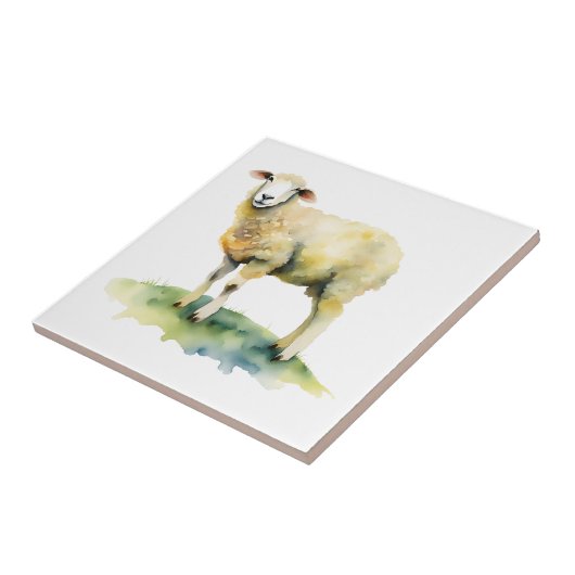 Carreau Mouton (Côté)