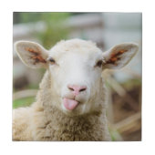 Carreau Mouton montrer langue (Devant)