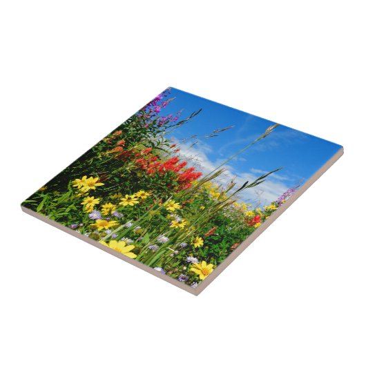 Carreau Mt. Fleur sauvage (Côté)