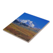 Carreau Mt. Parc national McKinley Denali, Alaska (Côté)
