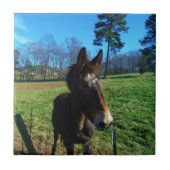 Carreau mule Brown et blanche (Devant)