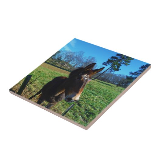 Carreau mule Brown et blanche (Côté)