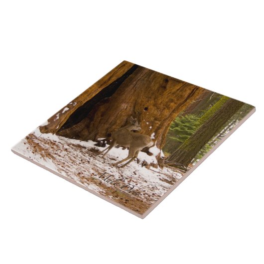 Carreau Mule Deer (Côté)