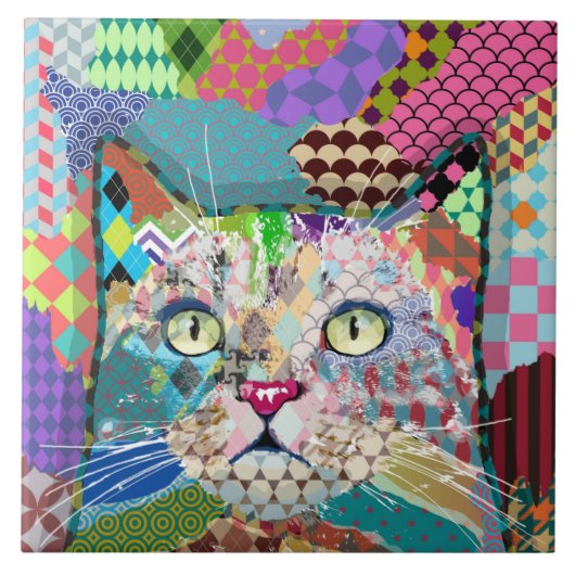 Carreau Multicolor cat 671 Motif (Devant)