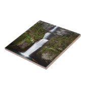 Carreau Multnomah tombe en gorge de Colombie (Côté)