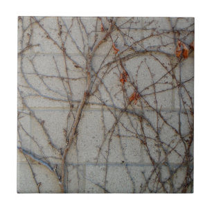 Carreau Mur de bloc de béton avec des vignes