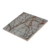 Carreau Mur de bloc de béton avec des vignes (Côté)