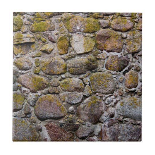Carreau Mur en pierre antique (Devant)