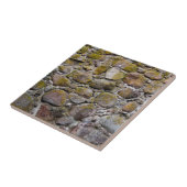 Carreau Mur en pierre antique (Côté)