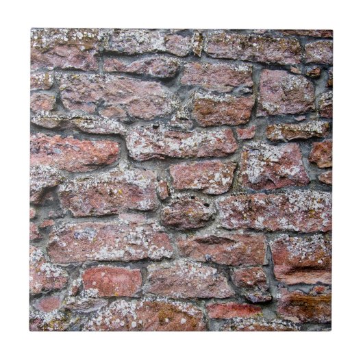 Carreau Mur en pierre brute (Devant)