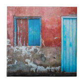 Carreau Mur, porte et fenêtre rouge, bleu et gris (Devant)