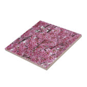 Carreau Mur Rose de Fleurs de Cerisier (Côté)