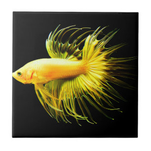 Carreau mur tropical tuiles vintages