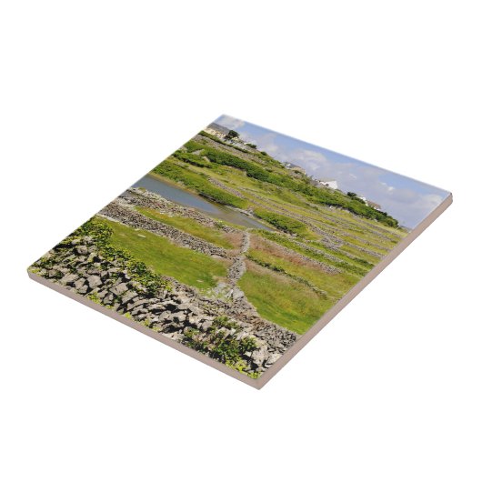 Carreau Murs de pierre d'Irlande (Côté)