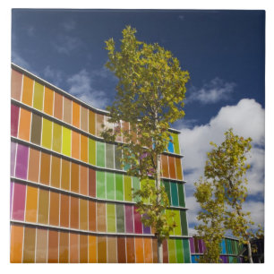 Carreau MUSAC, musée d'art contemporain