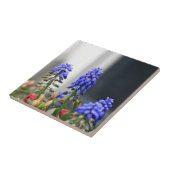 Carreau muscari à grappe (Côté)