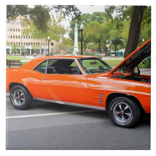 Carreau Muscle orange (Devant)