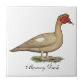Carreau Muscovy light chocolate drake (Devant)