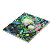 Carreau Mushrooms de l'Oregon (Côté)