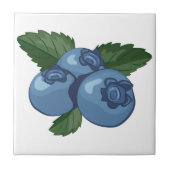 Carreau Myrtilles (Devant)