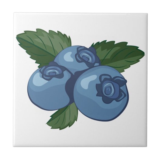 Carreau Myrtilles (Devant)