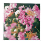 Carreau Myrtle à crêpe rose (Devant)