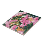 Carreau Myrtle à crêpe rose (Côté)