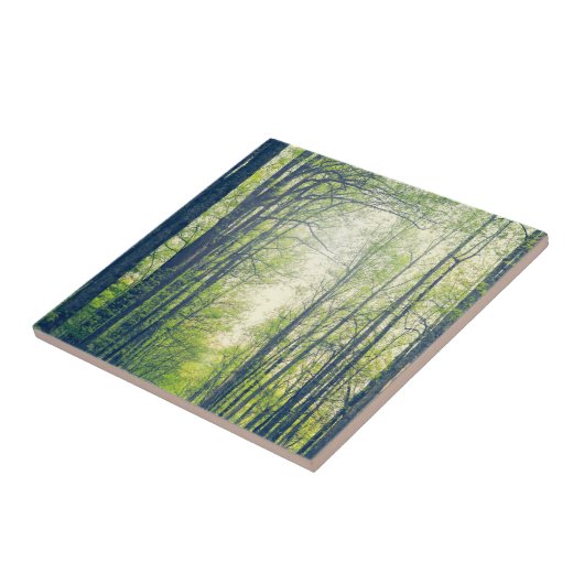 Carreau Mystical forest (Côté)