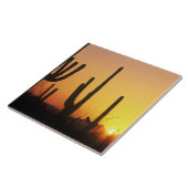 Carreau N.A., États-Unis, AZ, Saguaro NP, Saguaro Sunset (Côté)