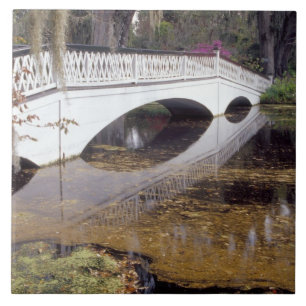 Carreau N.A., États-Unis, Caroline du Sud, Charleston.Mag