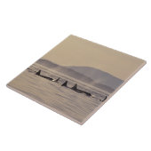 Carreau N.A., États-Unis, Washington, San Juan Islands Orc (Côté)