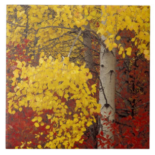 Carreau NA, États-Unis, Washington, Wenatchee National Fo