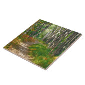 Carreau NA, USA, Maine. Chemin de Jessup en Acadie (Côté)