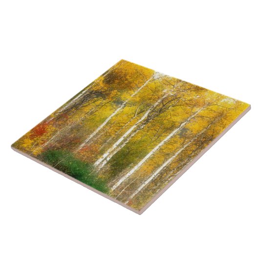 Carreau NA, USA, Washington, Fall Aspen Trees le long (Côté)