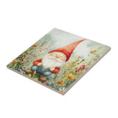 Carreau Nain de jardin (Côté)