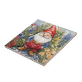 Carreau Nain de jardin (Côté)