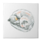 Carreau Nap de chat (Devant)